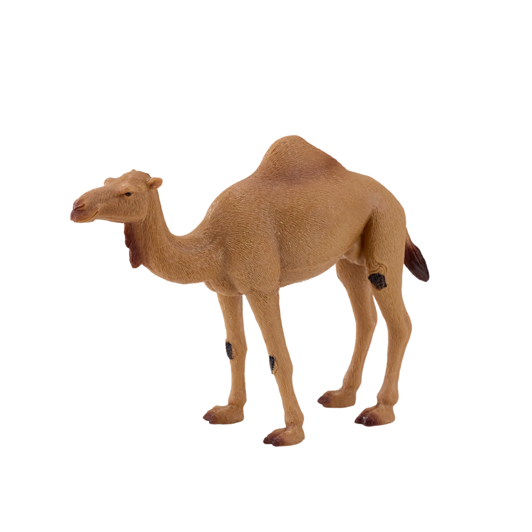 Mojo Arabian Camel  - XL