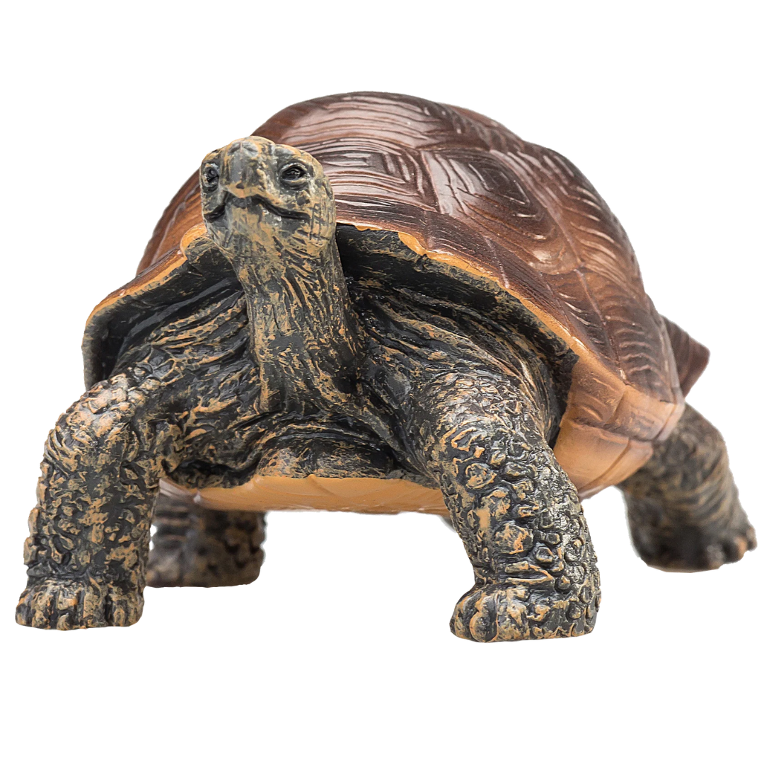 Mojo Giant Tortoise - L