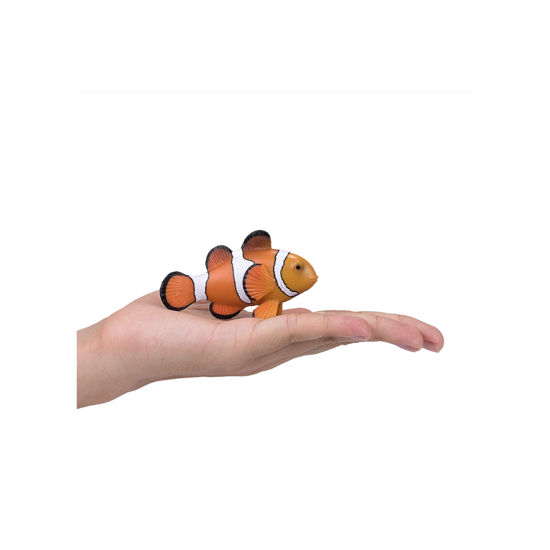 Mojo Clown Fish  - M