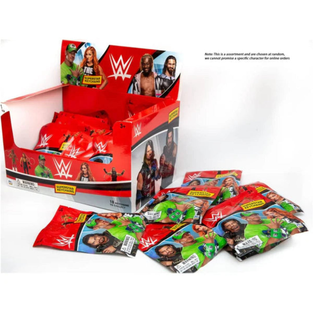 WWE 3D figural Keychains in foil bag, 24 pcs in CDU.