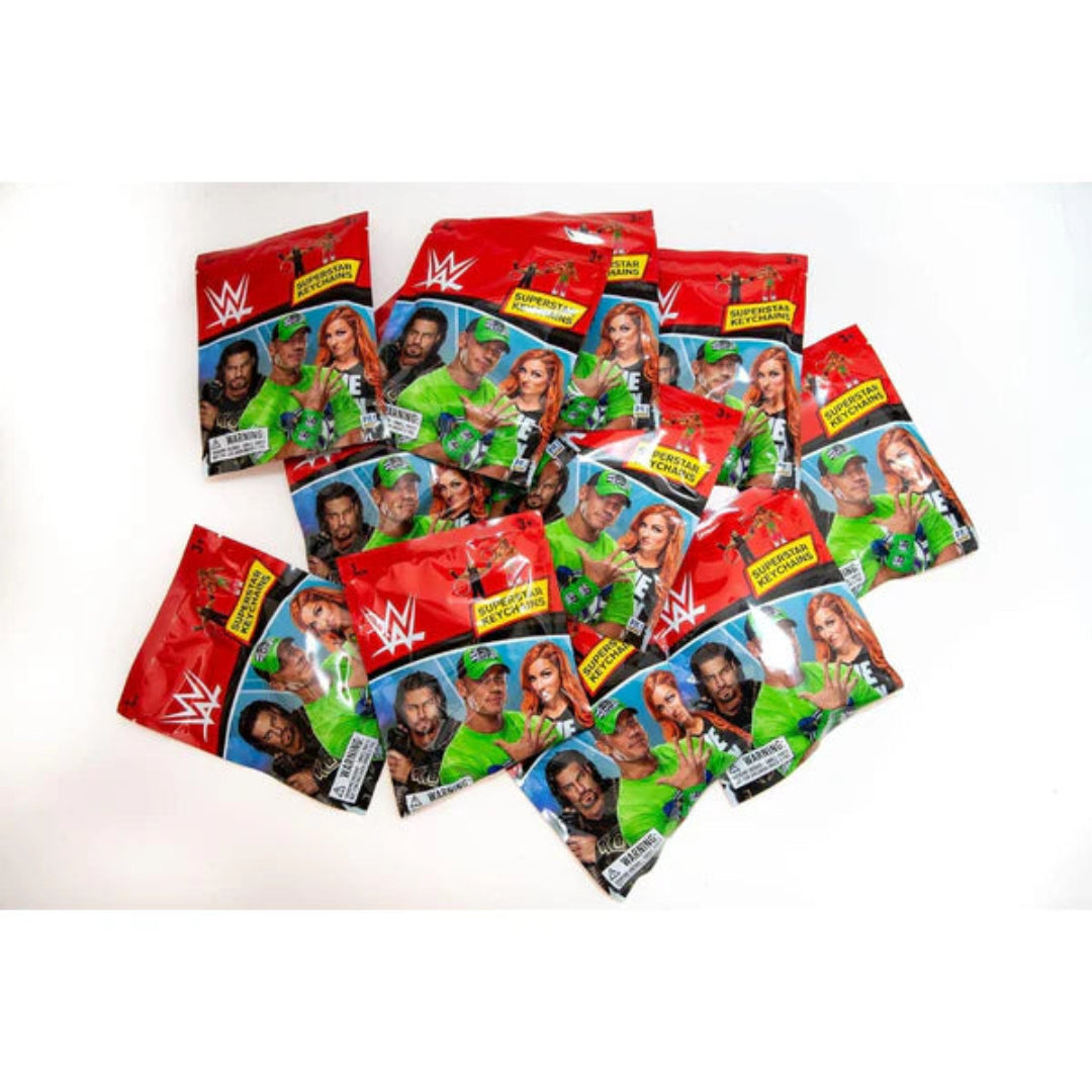 WWE 3D figural Keychains in foil bag, 24 pcs in CDU.