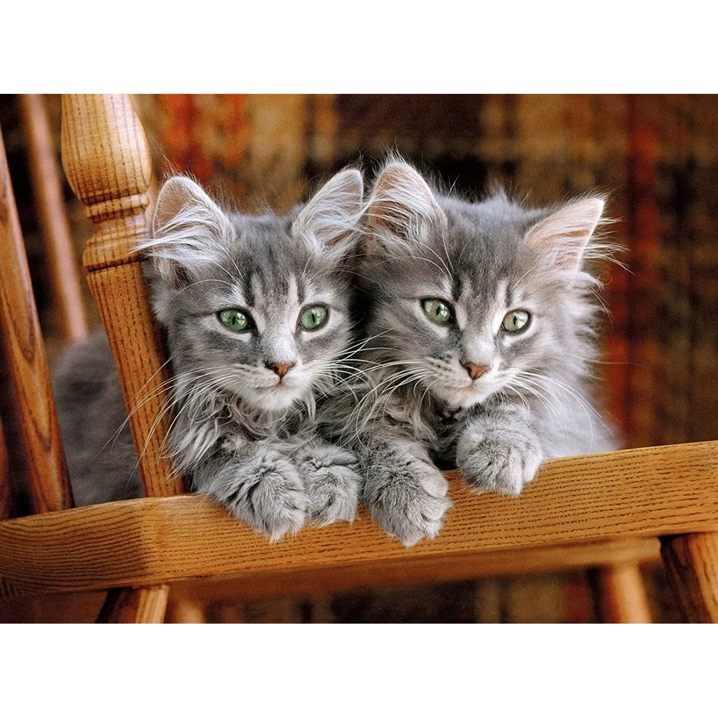 Clementoni Puzzle HQC Kittens 500pcs
