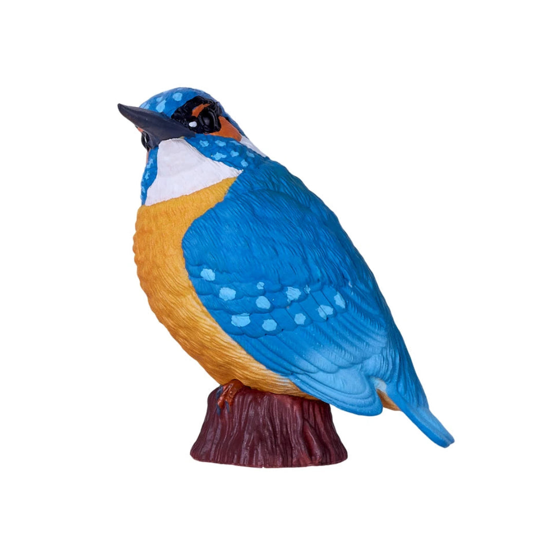 Mojo Kingfisher Gift Boxed