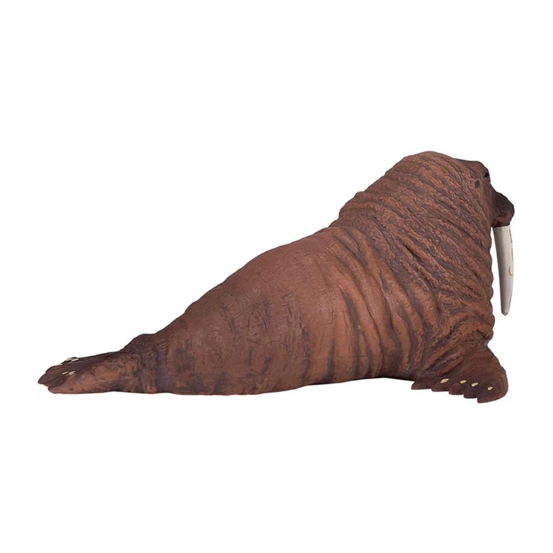 Walrus  (Portugal)-XXL