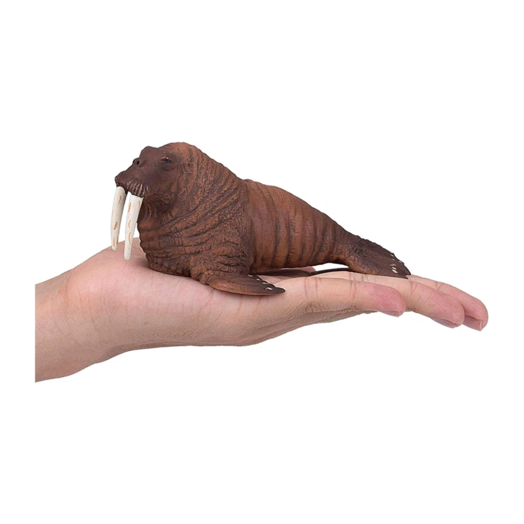 Walrus  (Portugal)-XXL