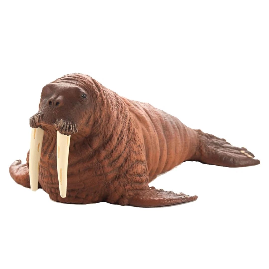 Walrus  (Portugal)-XXL