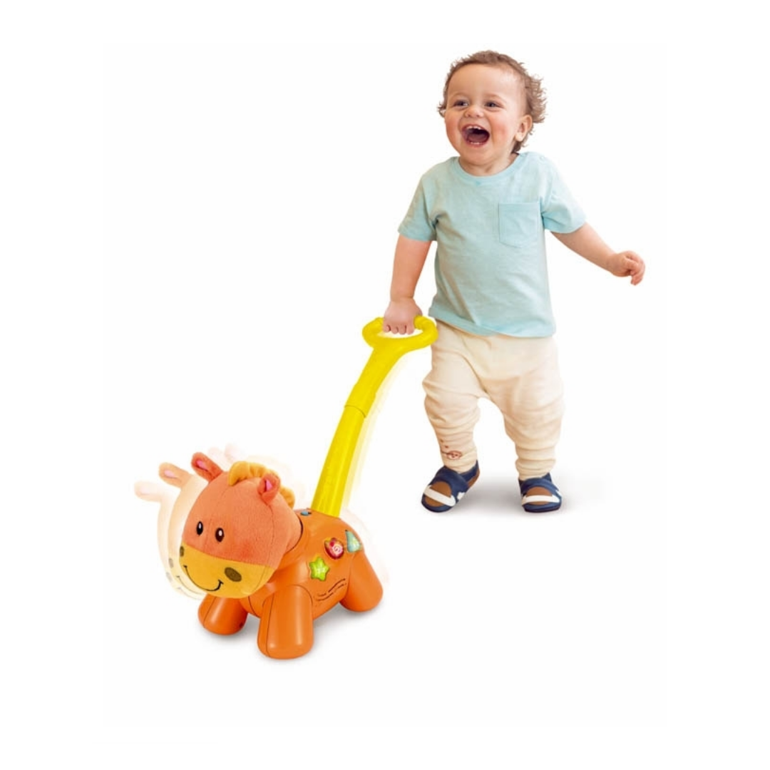 Push 'N Walk Pony