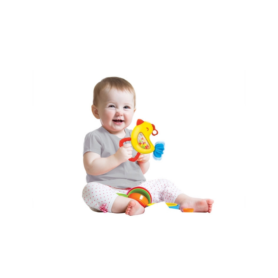 Shake 'N Spin Rattle - Birdy