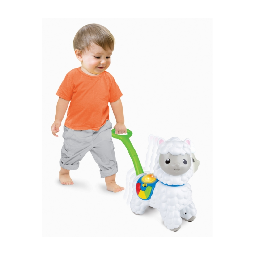 Push-Along Little Alpaca