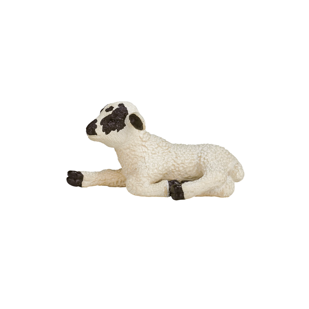 Mojo Black Faced Lamb Lying down -S