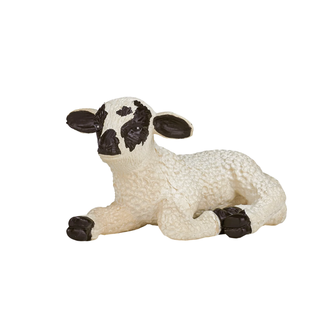 Mojo Black Faced Lamb Lying down -S