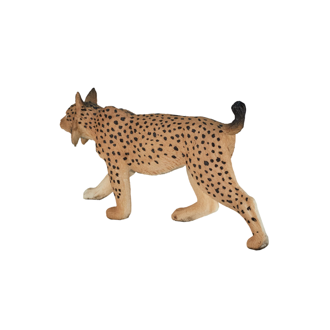 Mojo Iberian Lynx - M