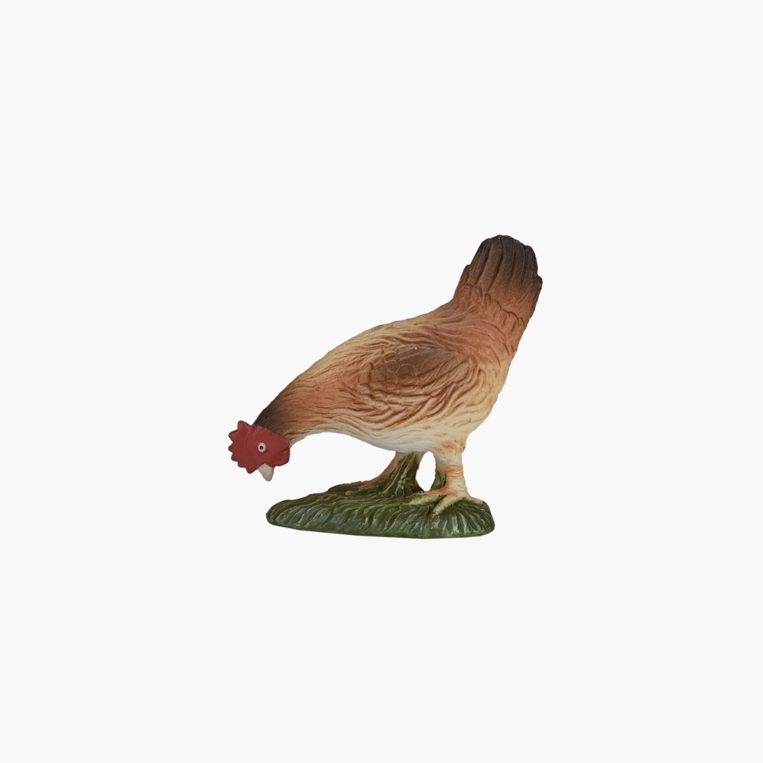 Mojo Hen Eating