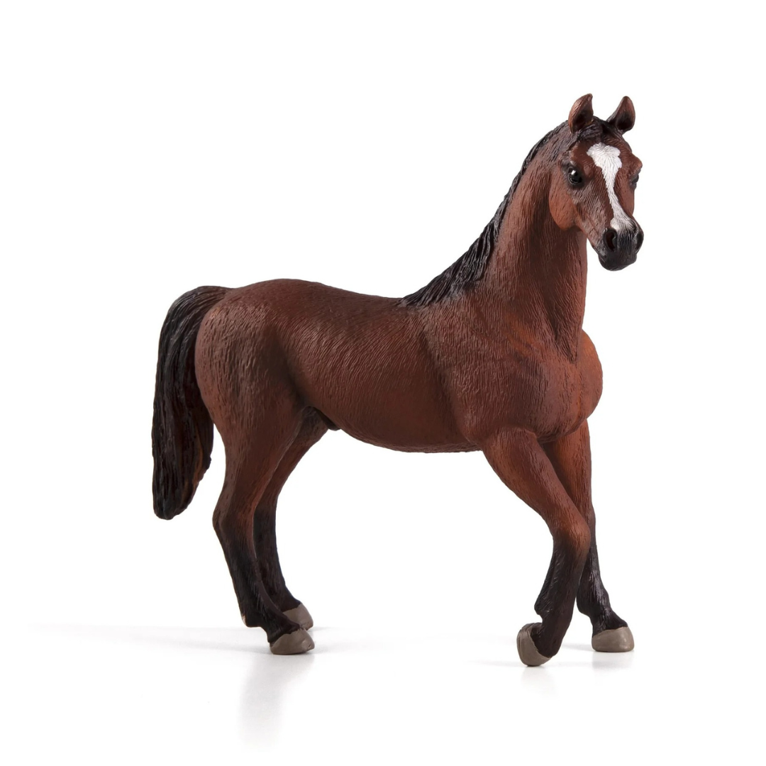 Mojo Arabian Stallion Chestnut - XL