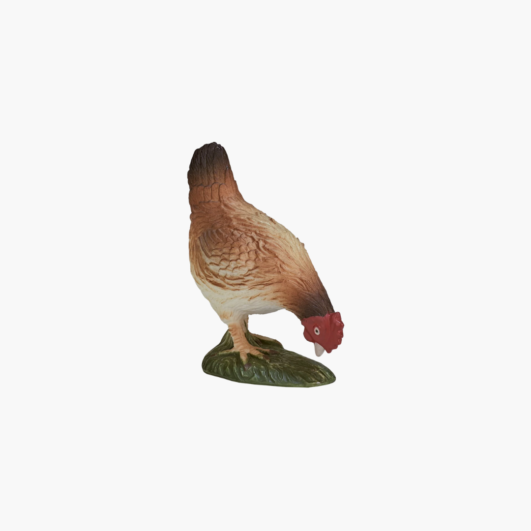 Mojo Hen Eating