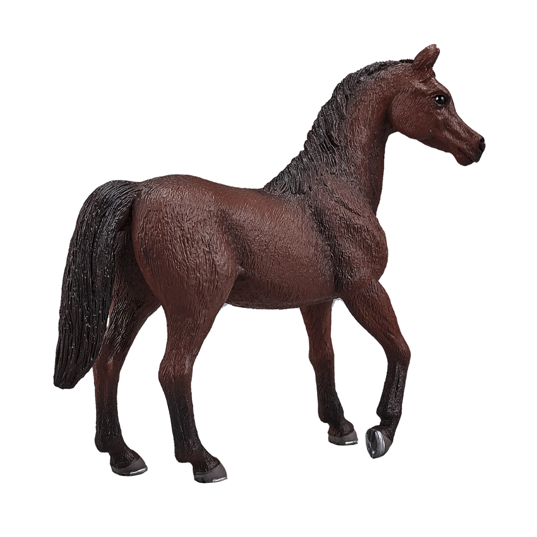 Mojo Arabian Stallion Chestnut - XL