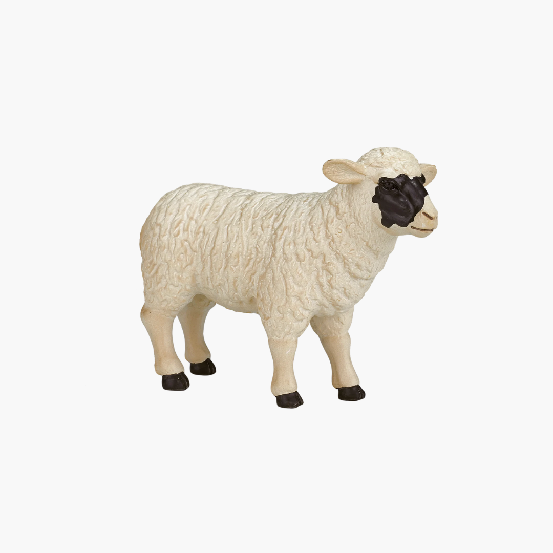 Mojo Black faced Sheep (Ewe)  - M