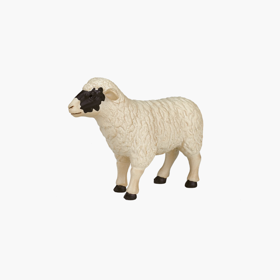 Mojo Black faced Sheep (Ewe)  - M