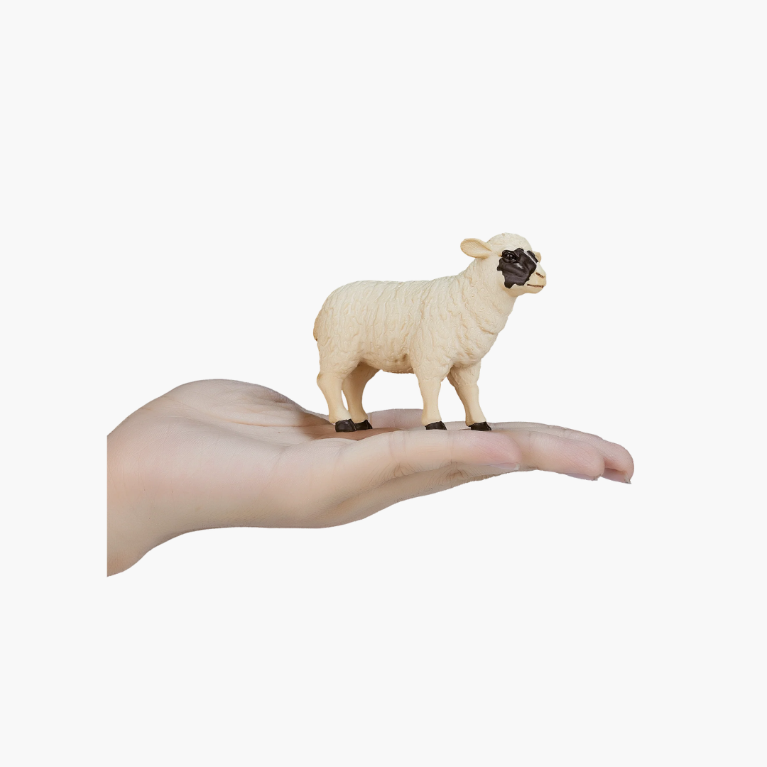 Mojo Black faced Sheep (Ewe)  - M