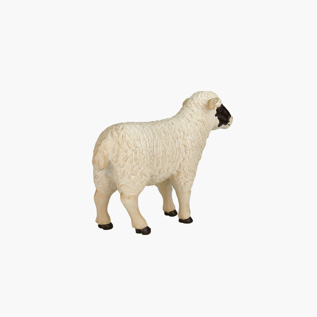 Mojo Black faced Sheep (Ewe)  - M