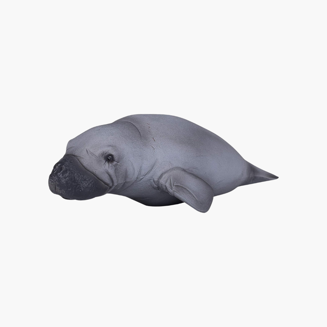 Manatee (Portugal)-XXL