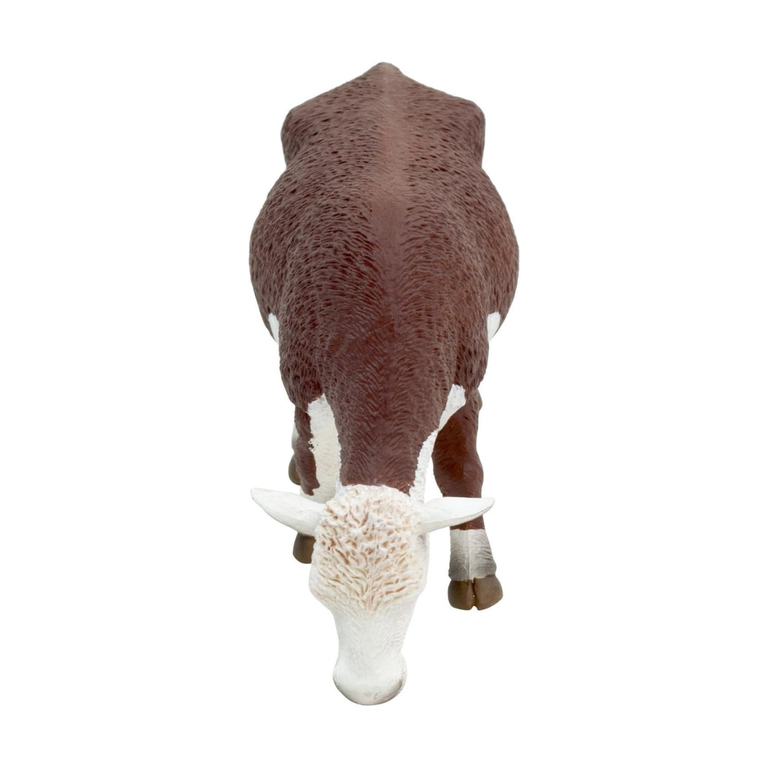 Mojo Hereford Cow Grazing -XL