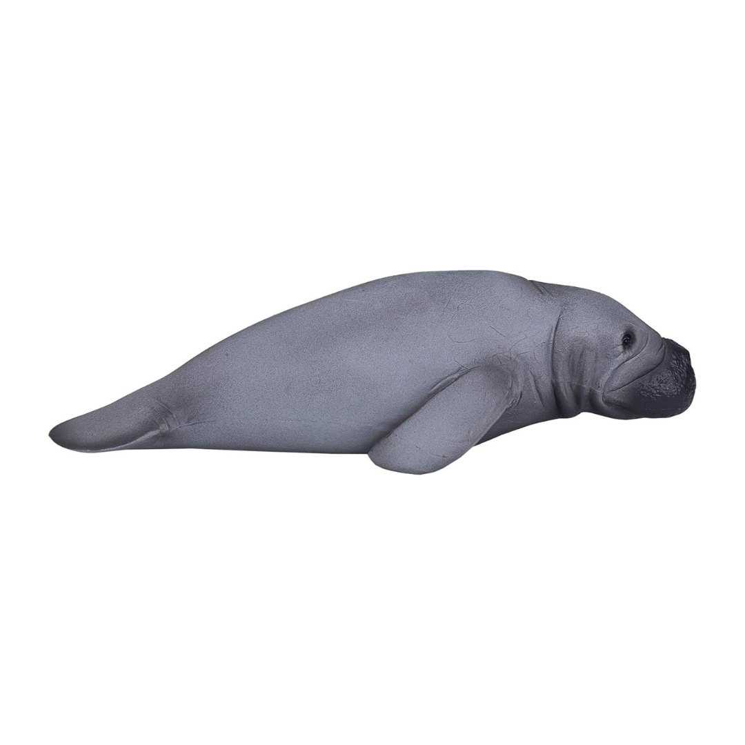 Manatee (Portugal)-XXL