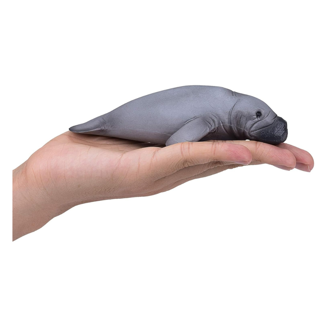 Manatee (Portugal)-XXL