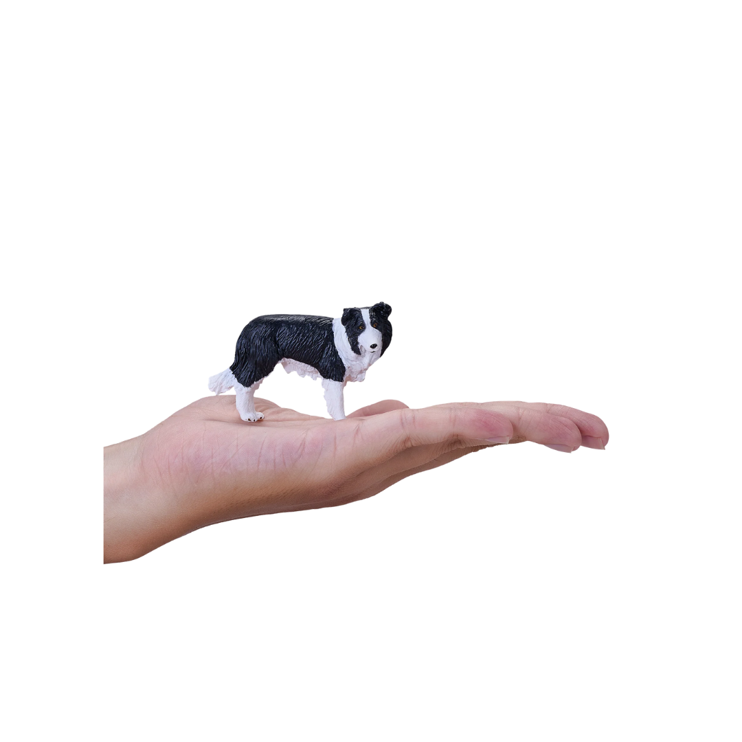 Mojo Border Collie - M
