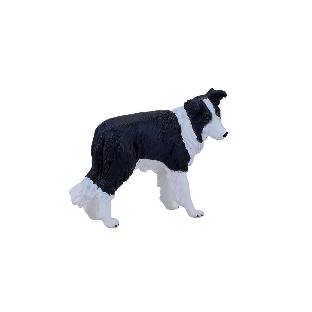Mojo Border Collie - M