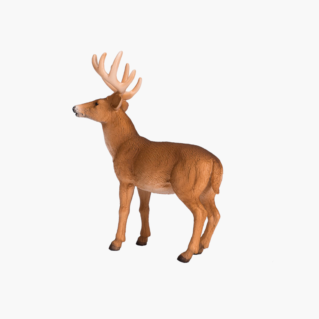 Mojo White Tailed Deer Buck - L