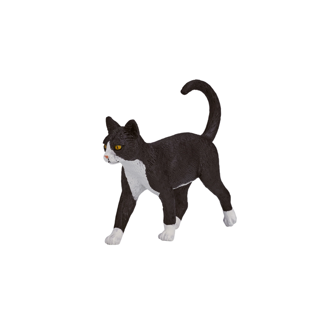 Mojo Cat - M