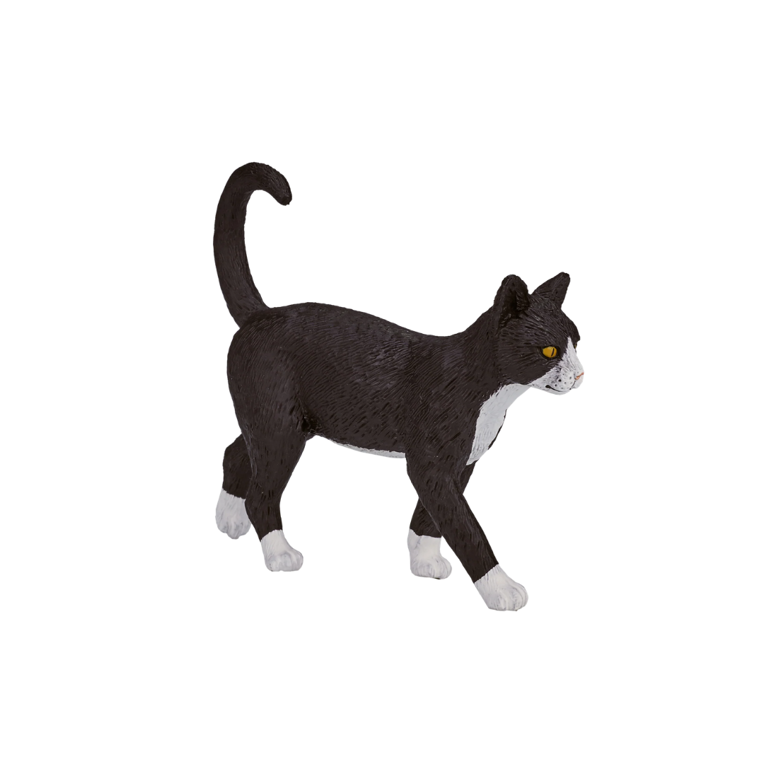 Mojo Cat - M