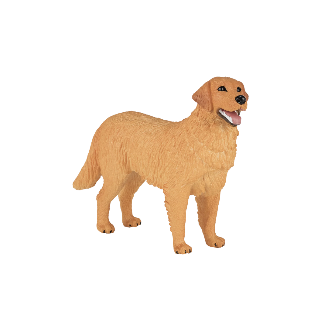 Mojo Golden Retriever - M