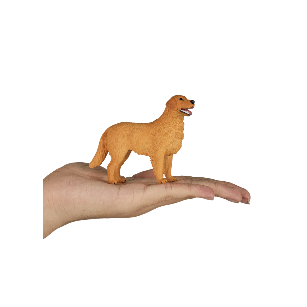 Mojo Golden Retriever - M
