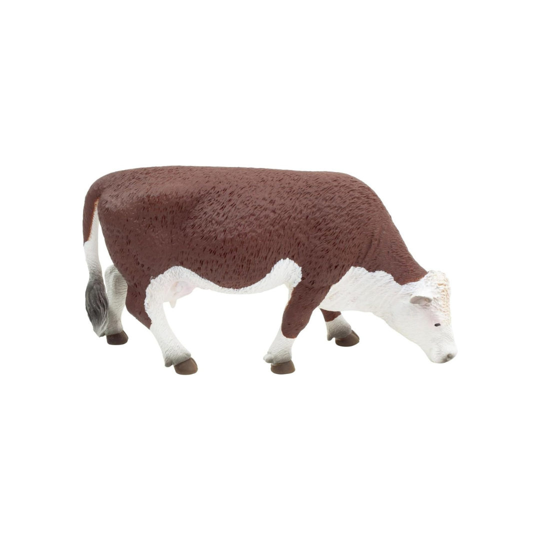 Mojo Hereford Cow Grazing -XL