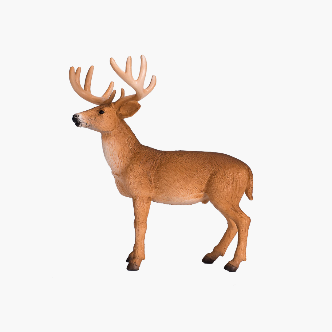 Mojo White Tailed Deer Buck - L