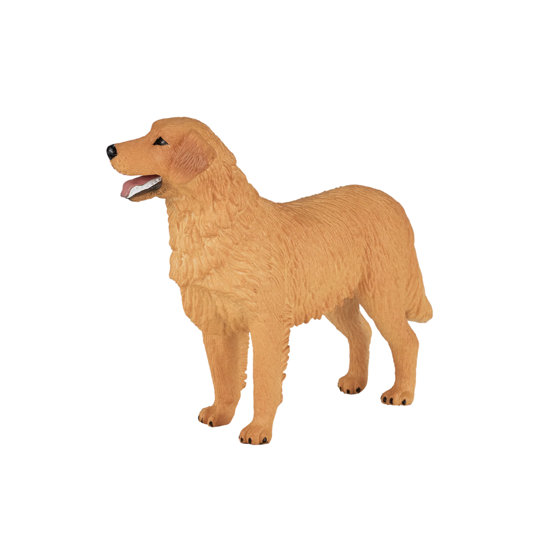 Mojo Golden Retriever - M