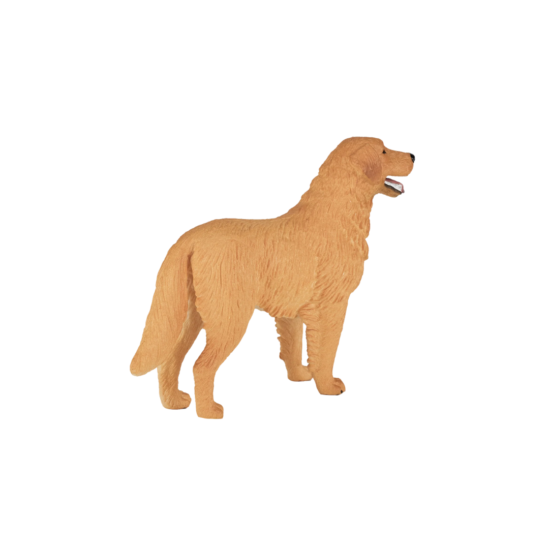 Mojo Golden Retriever - M