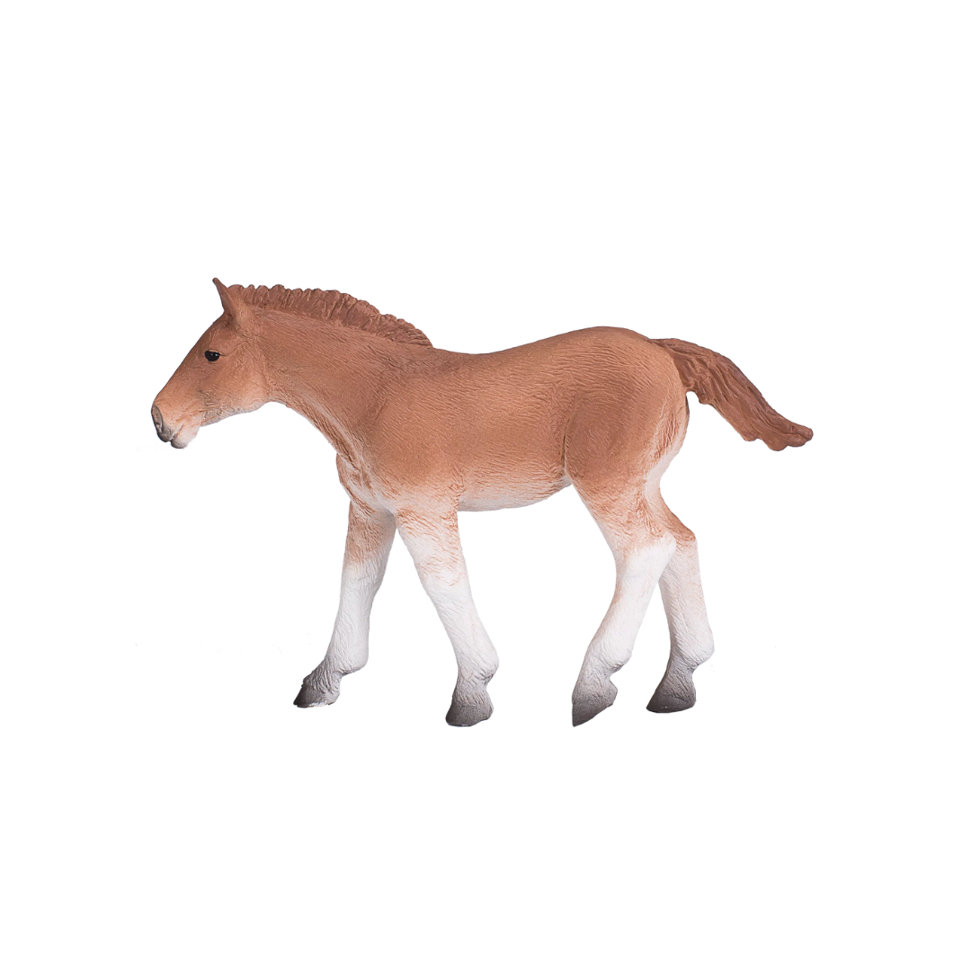 Mojo Suffolk Punch Foal - M