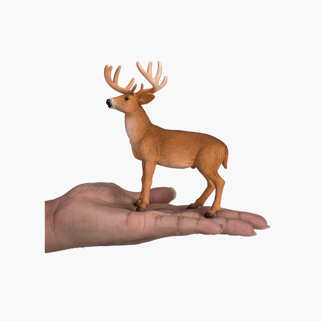 Mojo White Tailed Deer Buck - L