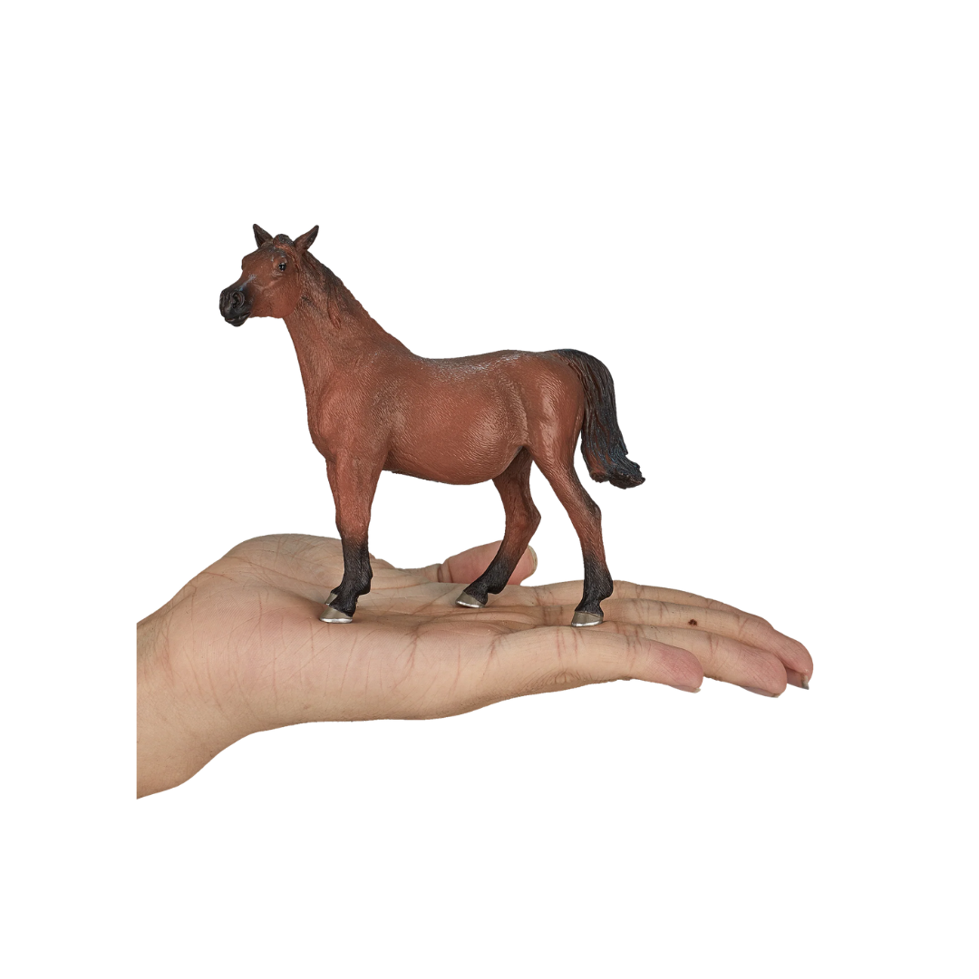 Mojo Arabian Mare in Foal - XL