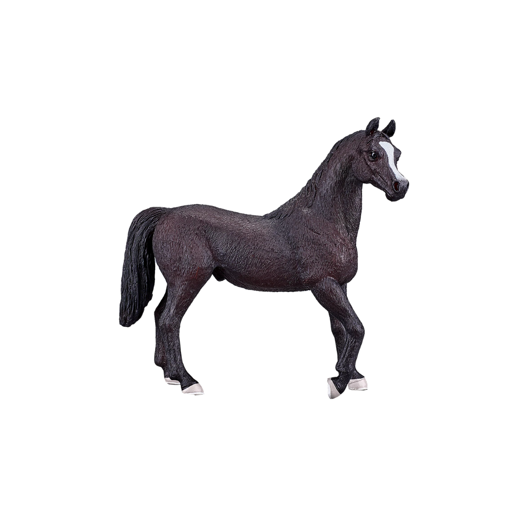 Mojo Arabian Stallion Black - XL