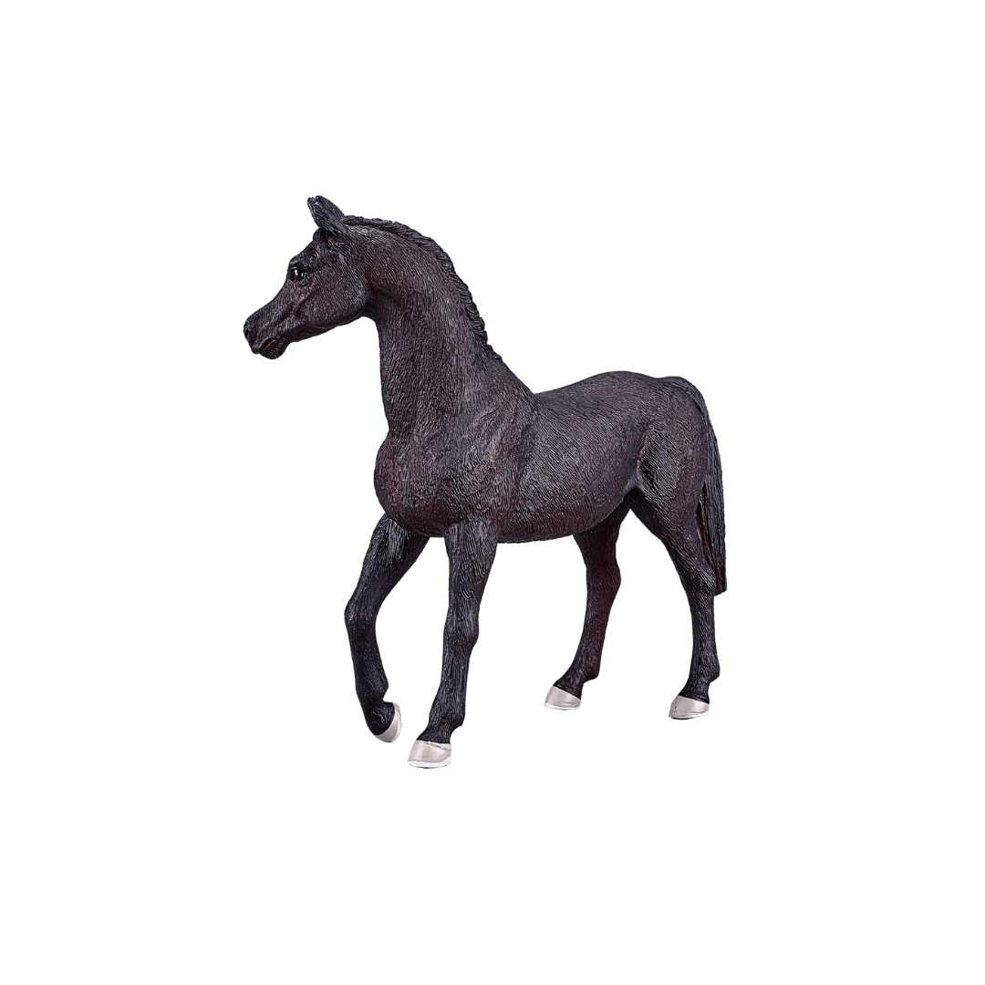 Mojo Arabian Stallion Black - XL