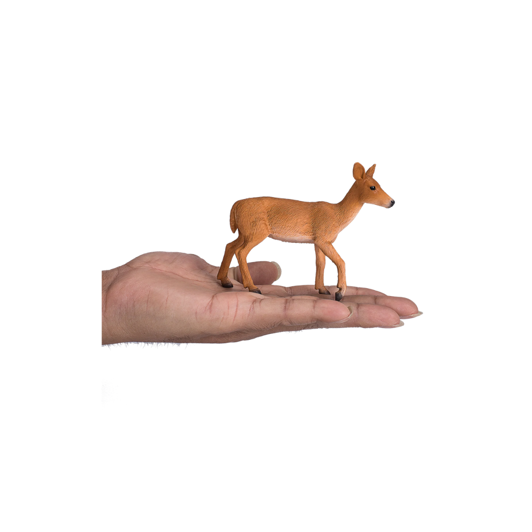 Mojo White Tailed Deer Doe - M