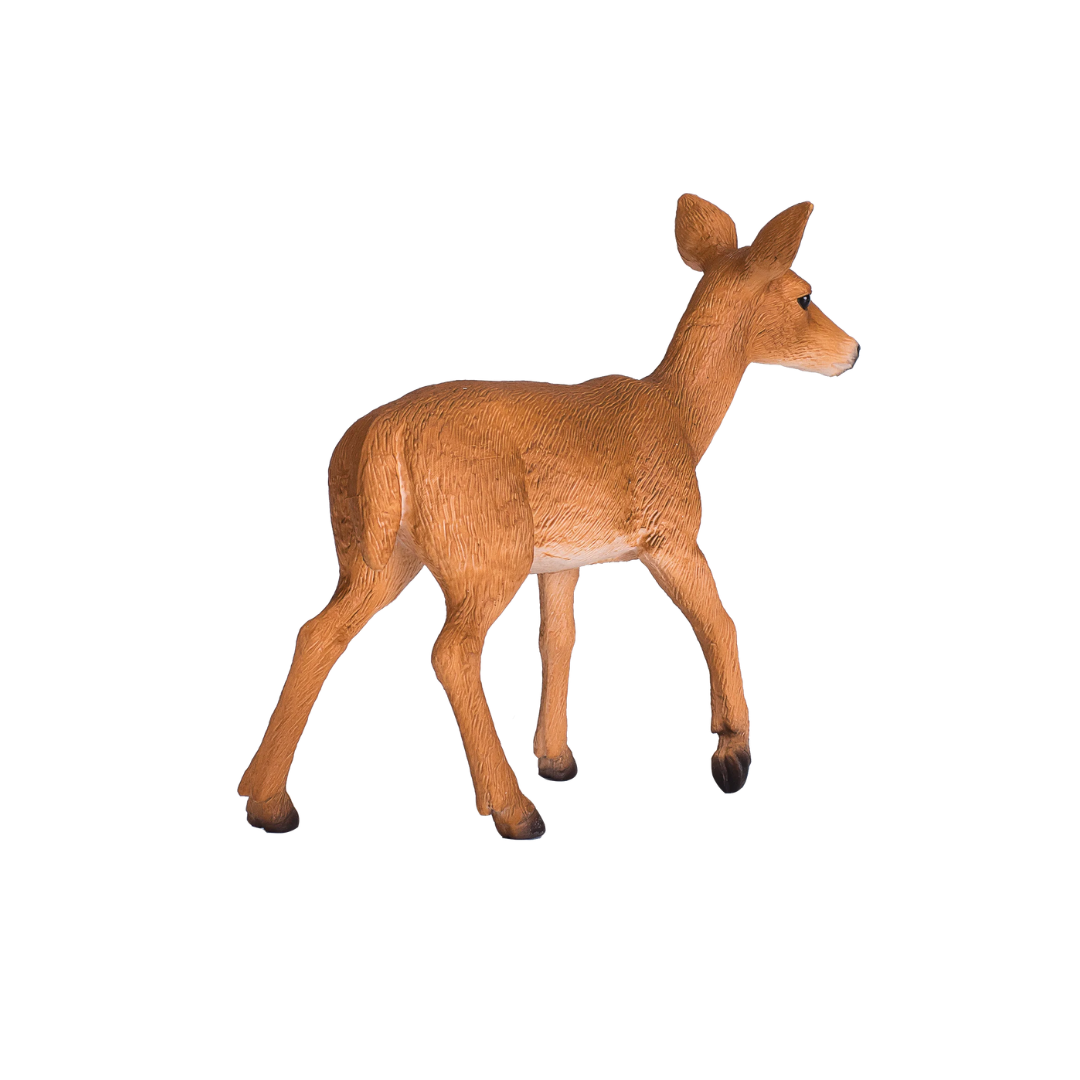 Mojo White Tailed Deer Doe - M