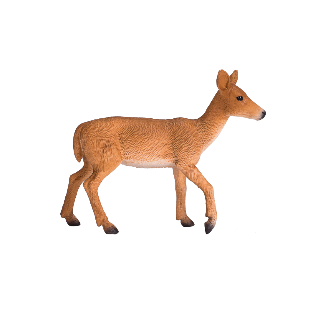 Mojo White Tailed Deer Doe - M