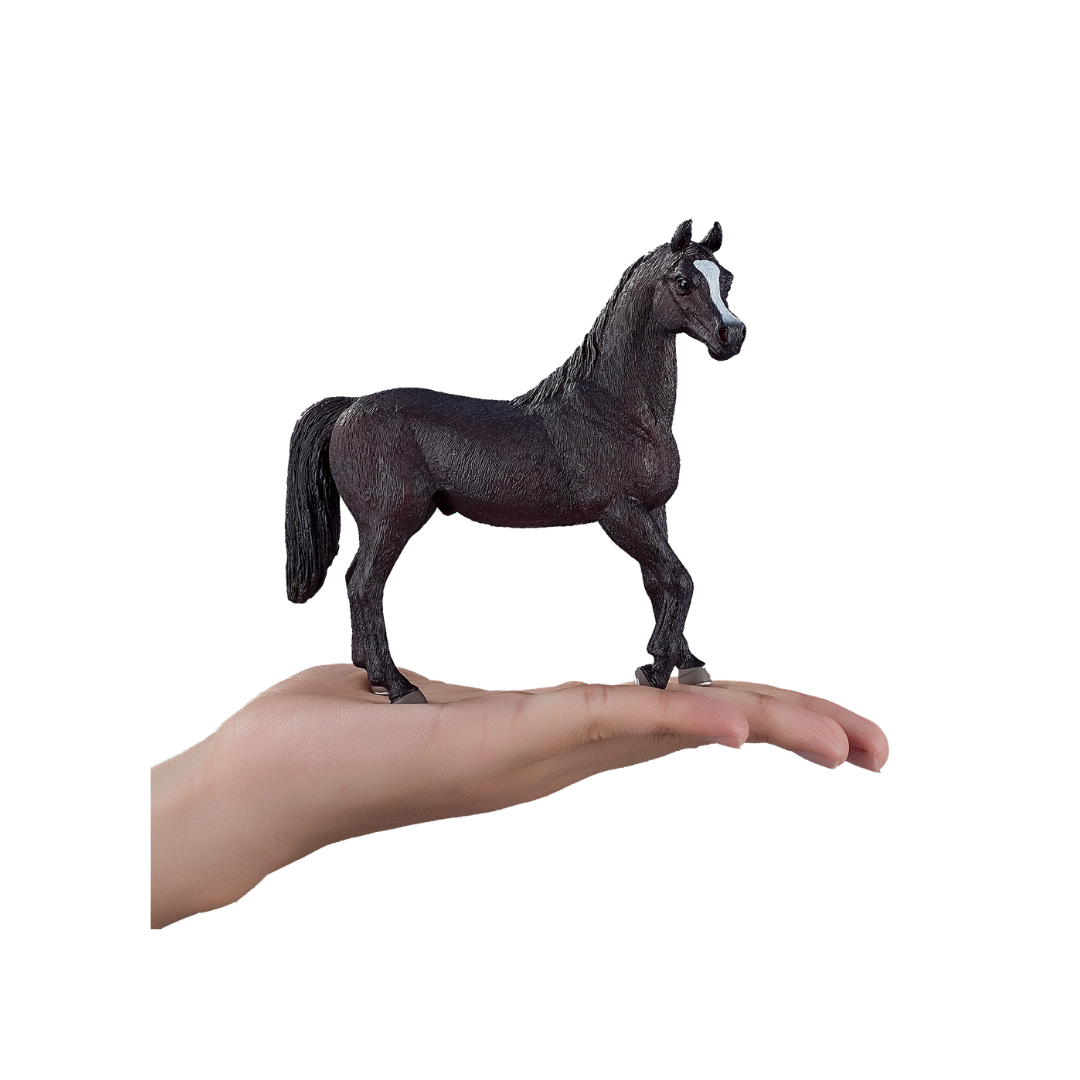 Mojo Arabian Stallion Black - XL
