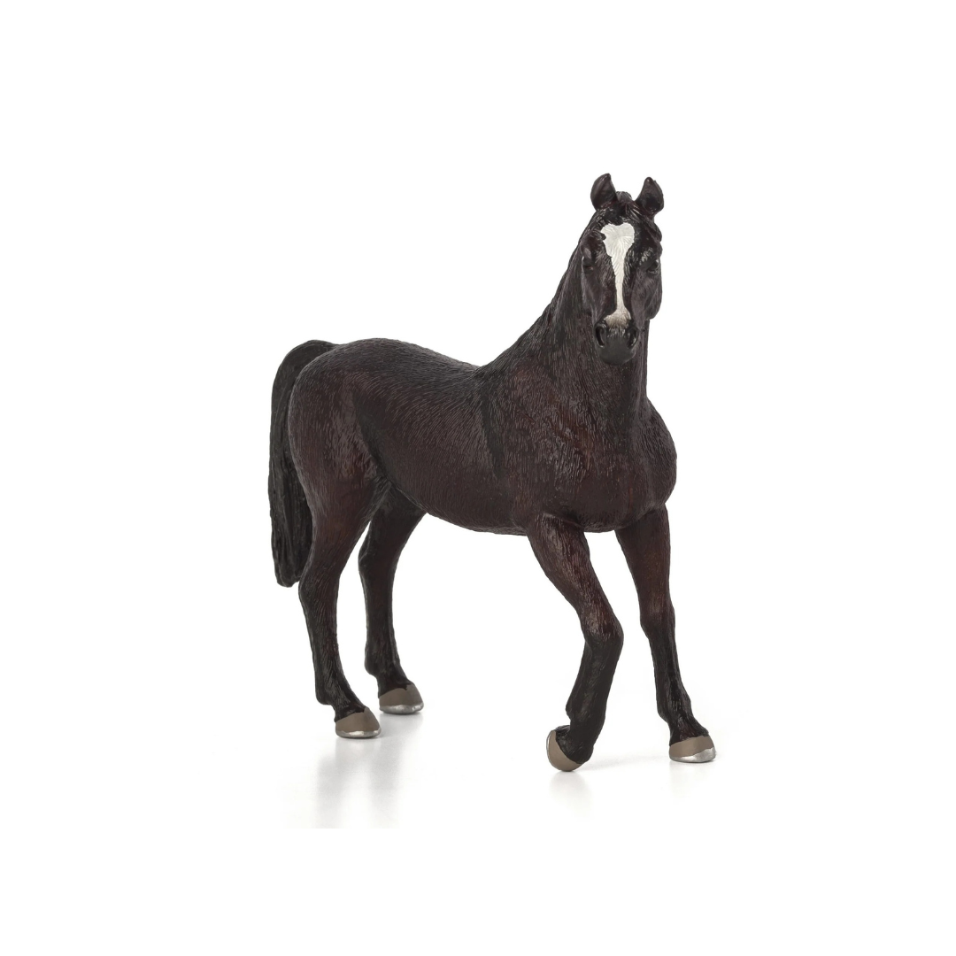 Mojo Arabian Stallion Black - XL